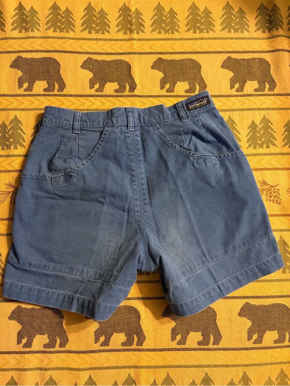 Patagonia Blue 90s vintage stand-up shorts size 28, women's.